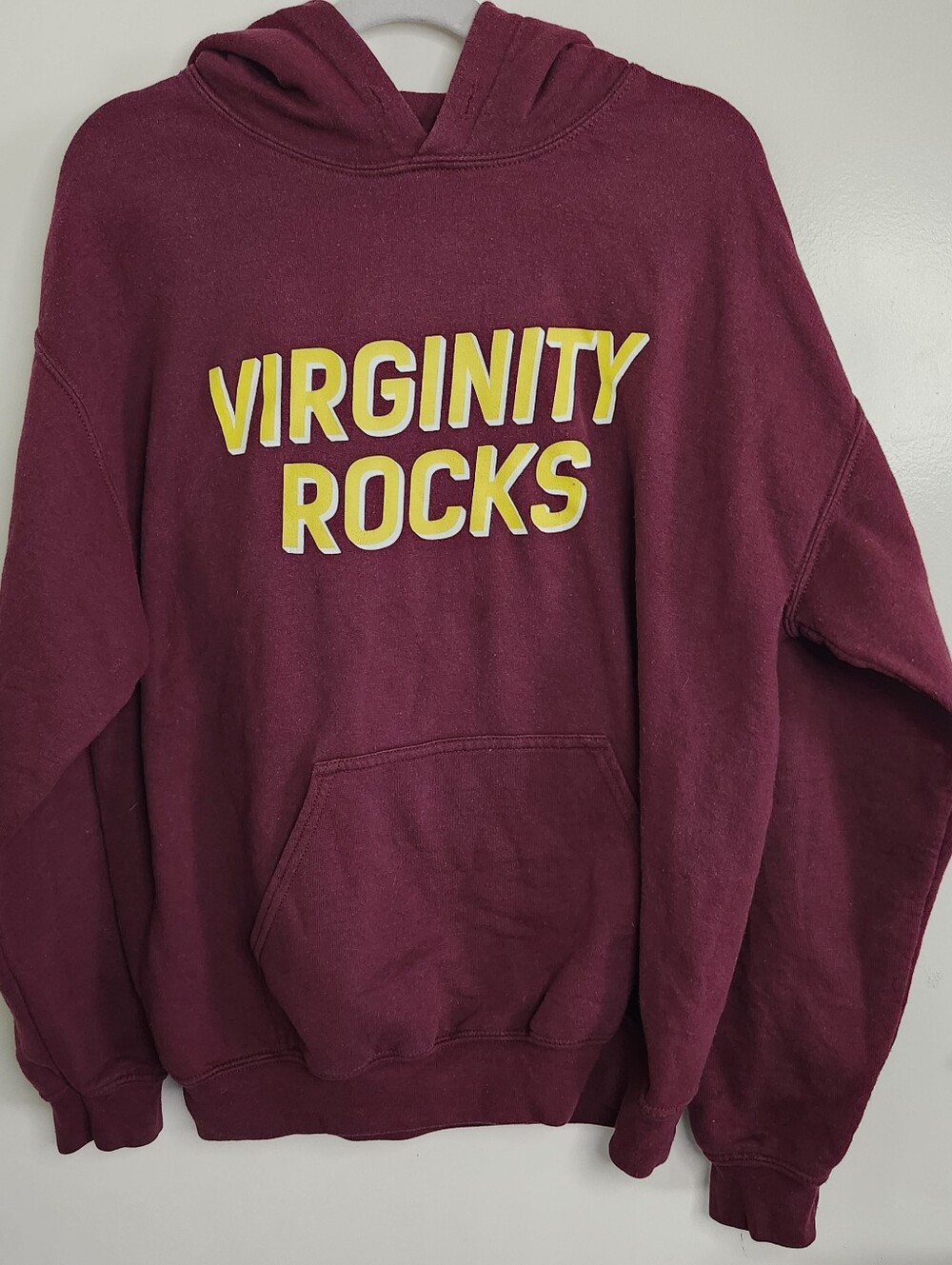 Danny Duncan Virginity Rocks Hoodie M Burgundy Graphic Pullover